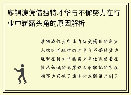 廖锦涛凭借独特才华与不懈努力在行业中崭露头角的原因解析