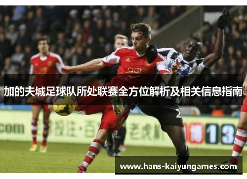 加的夫城足球队所处联赛全方位解析及相关信息指南 加的夫城足球队所处联赛全方位解析及相关信息指南