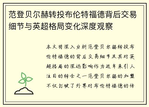 范登贝尔赫转投布伦特福德背后交易细节与英超格局变化深度观察